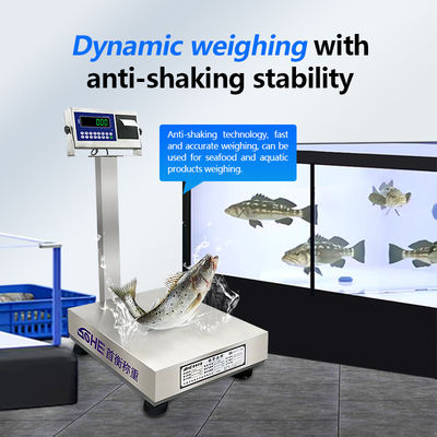 Προσαρμόσιμες κλίμακες από ανοξείδωτο χάλυβα 200kg με υδροστεγή σχεδίαση και λειτουργία εκτύπωσης